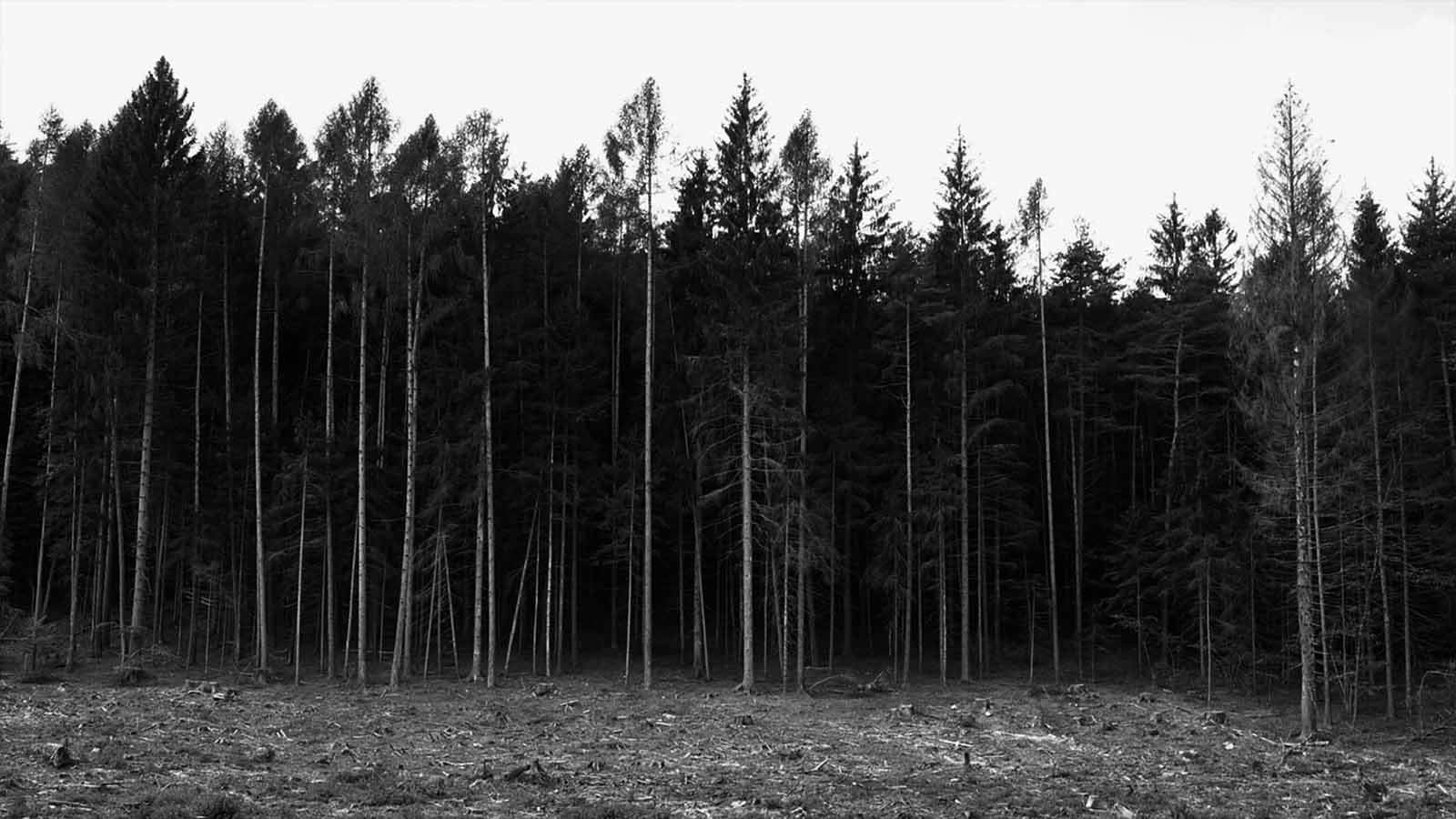 Still 3 — La ragazza d’argento